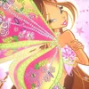 ninusjiia