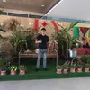 nguyenquangnhu