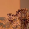 marwa_7888