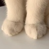 kittypawssss