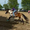 elaina0709