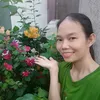 Hằng