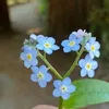 sweetorbitter_