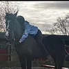pollyxannax