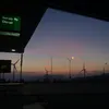 safiria.coviello