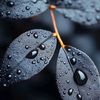 rahul_50056