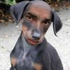 justjohn1138