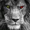 imtheboss005