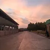 vannhan110199