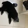quynhdayhelo