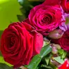 sidra.is.army