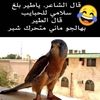 rahaalst