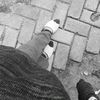 ayas5732