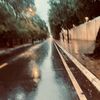 alex_puchina
