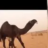 sultanalmutairi162