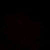 nermeen.mostafa2