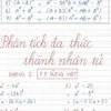 phuphuu.21007