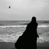 shashaf88