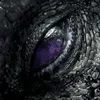 petitdragon_07