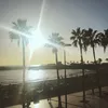 lilly.sabom