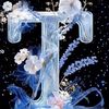 taghreedmaruof