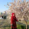 usernamediva_1234