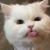 byliliii