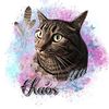 luckychaoskitten