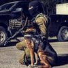 amitperetz007