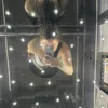 aliciapayne