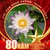 nthang9x
