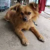 nhokkon_