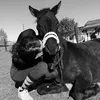 my_dreeam_ponys
