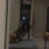 heidyburtonnn