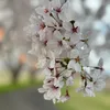 tranducvuong8