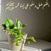 fatiha_amazzal_01