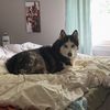 user._06600
