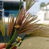 thanhhoadk