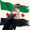 mohamad5.6