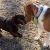 cooperandchester