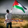 alnemr3789458080023