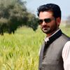 faisal_n1234