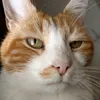 sergiotto008