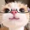 biancarodrisadri