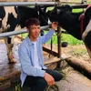 phuc761619