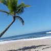 thaynaramorais77