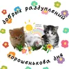 user64331547