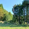ramu0309