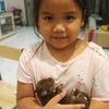 nongbonusfamily
