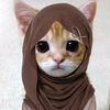gtaugabut23